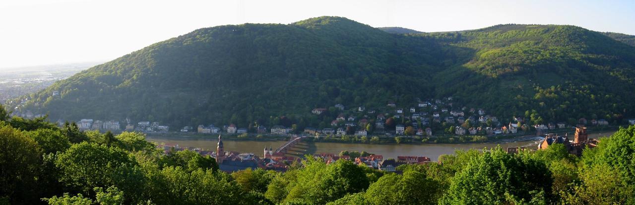 Schlosshotel Molkenkur Heidelberg Eksteriør billede
